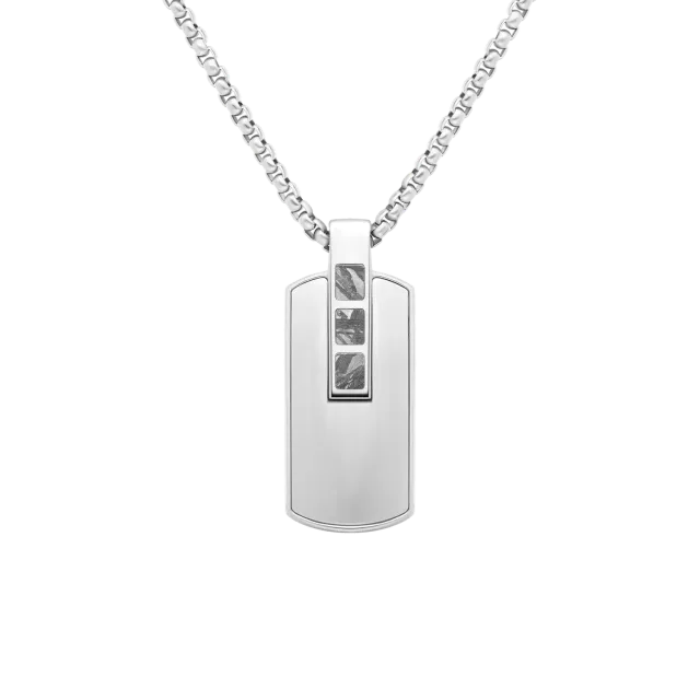 Duxot Accelero Shiny Silver Meteorite dog tag-anheng meteoritt