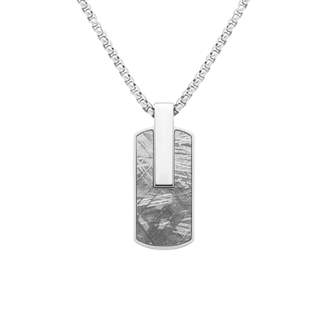 Duxot Atlantica Dog Tag anheng Grey Meteorite med meteoritt