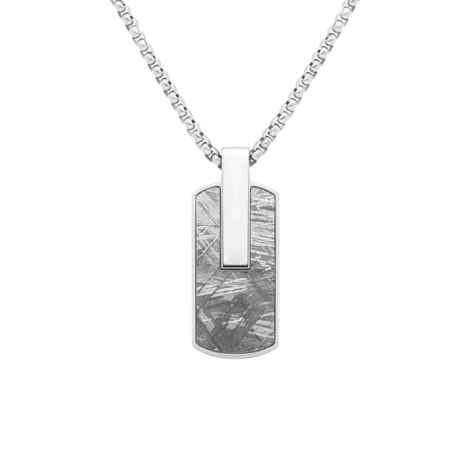 Duxot Atlantica Dog Tag anheng Grey Meteorite med meteoritt