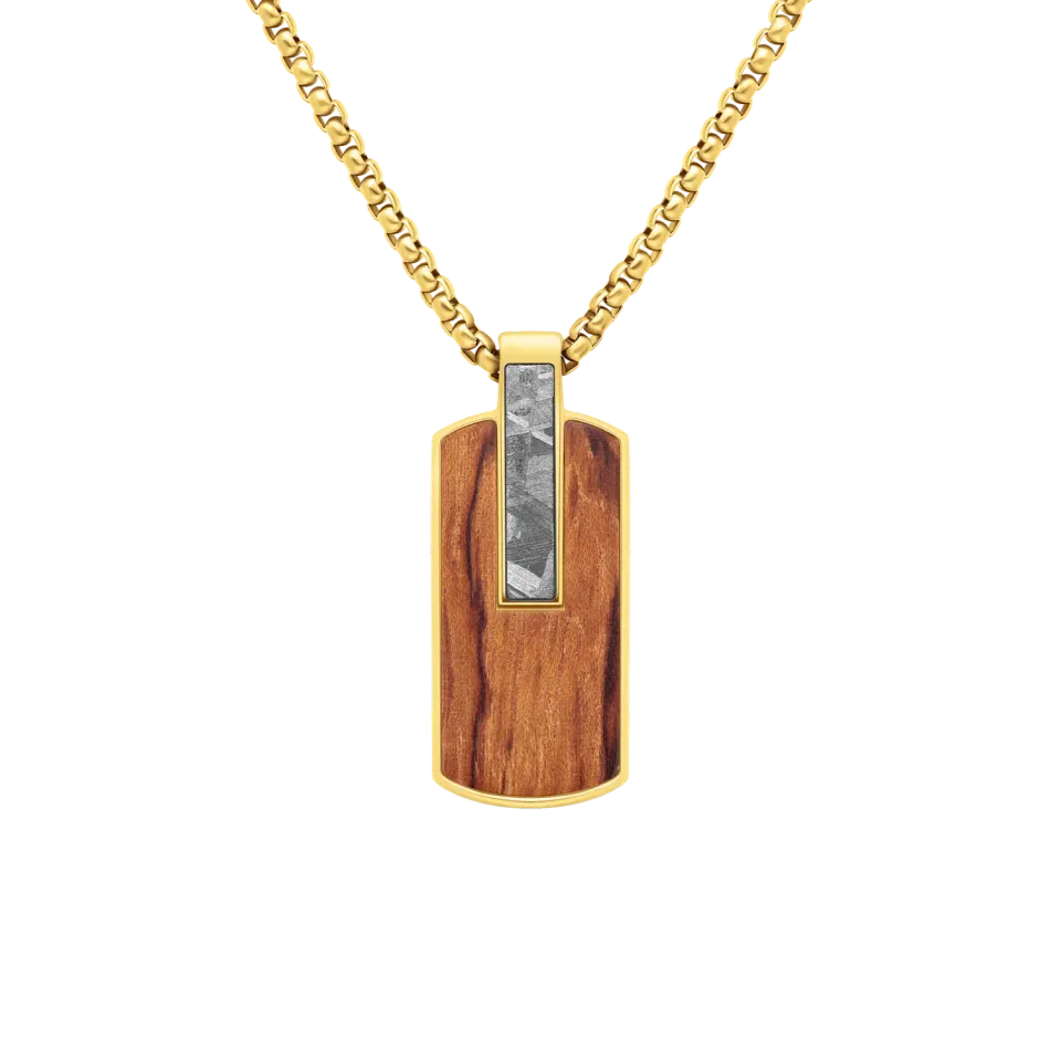 Duxot Atlantica Dog Tag anheng Wood Meteorite meteorittinnlegg